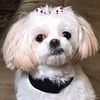 maggiegirl201